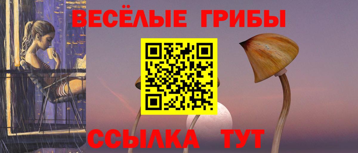 Галлюциногенные грибы мицелий Благодарный